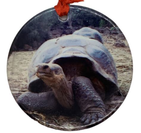 Gal Pagos Islands Giant Tortoise Christmas Ornament Porcelain Travel