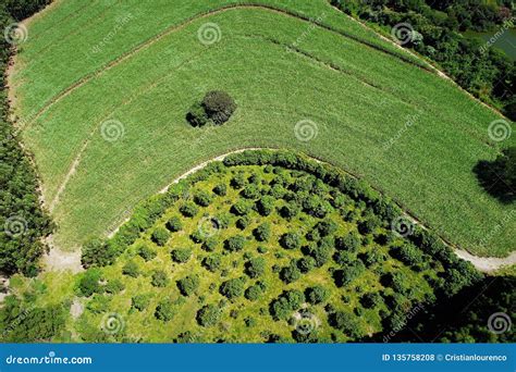 Aerial View Of Countryside Farm Field Agriculture And Rural Scene