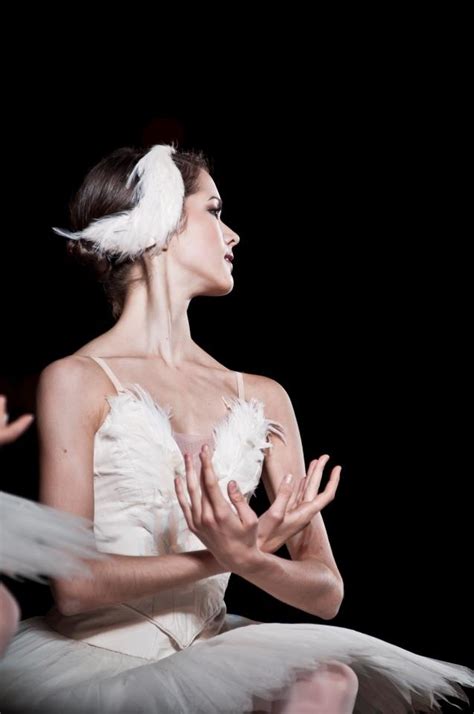 Black Swan Ballet Beautiful Ballet Beauty Dance Images