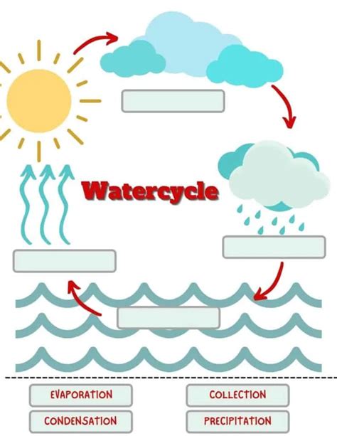 Diagram Water Cycle Diagram Writing Mydiagram Online