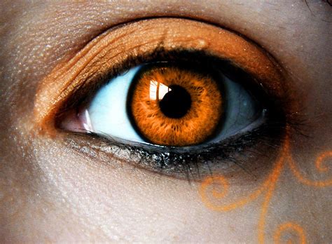Orange Love By Tegaria On DeviantArt Eye Color Chart Aesthetic Eyes Eye Art