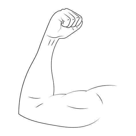 Arm Biceps Vector Sketch Illustration Flexing Fitness Muscle Vector