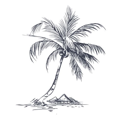 Palm Tree Black And White Clipart Niyog Clipart Black And White