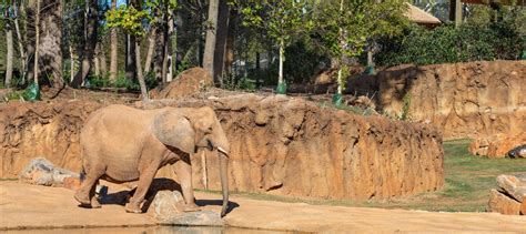 Zoos And Animal Sanctuaries Salas Obrien