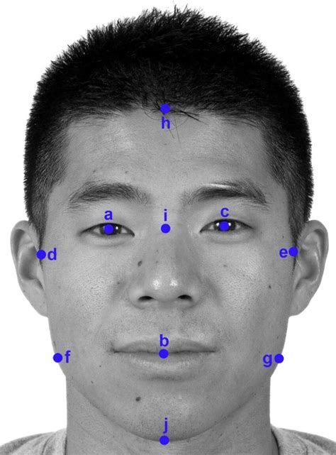 Example Of Facial Measurements Eyemoutheye Angle Abc Cheekbone