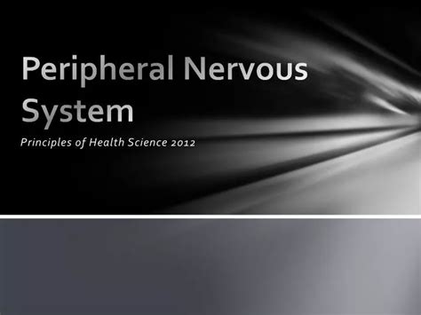 Ppt Peripheral Nervous System Powerpoint Presentation Free Download