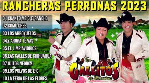 Los Gallitos De Chihuahua Rancheras Perronas 2023 Youtube