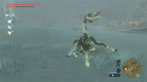 What Happens When You Ride Stal Horse In The Morning Zelda Breath Of