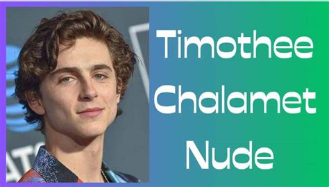 Timothee Chalamet Nude Sexuality Home And Met Gala
