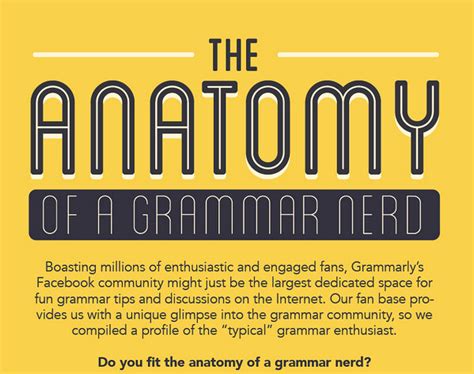 infographic are you a grammar nerd