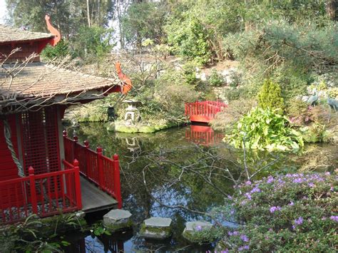 New Rhs Level 2 Certificate In Practical Horticulture Course Best