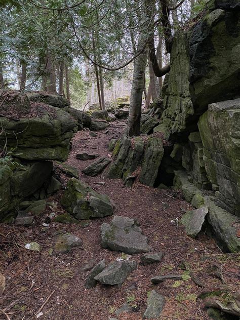 Bruce Trail Has Been My Mental Health Sanctuary Lately Rontario