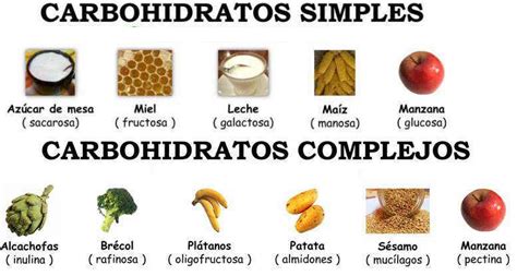 Diferencias Entre Carbohidratos Simples Y Complejos Carbohidratos