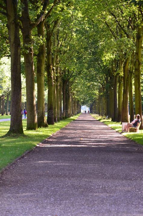 The Central Park Of Kassel Germany Stock Photo Image Of Landscape