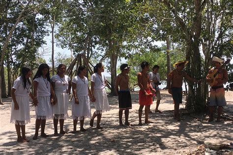 Conheça Uma Aldeia Indígena Em Aracruz Espírito Santo Foco No Mundo