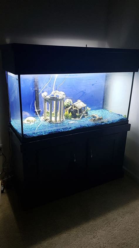 90 Gallon Aquarium Fish Tank For Sale In Indianapolis In Offerup