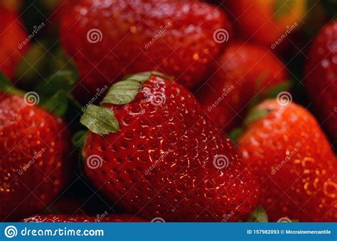 Fresh Picked Strawberries Glisten After Washing Closeup Stock Image