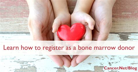 Healthy bone marrow is essential for the body to function, since it holds. Donating Bone Marrow Is Easy and Important: Here's Why ...