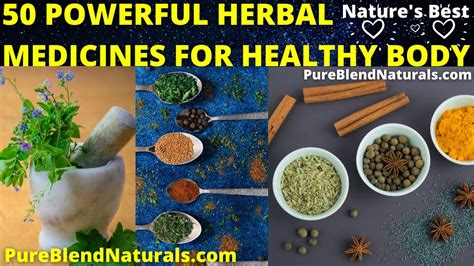 50 Powerful Herbal Medicines For Healthy Body And Their Uses With Pictures Youtube