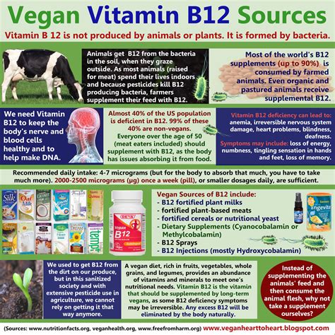 Basically, the whole vegans need supplements argument is pretty ironic since we're generally getting most of our vitamins from our food, with some direct supplementation for b12, whereas omnis are eating. Vegan Heart to Heart: Vegan Vitamin B12 sources