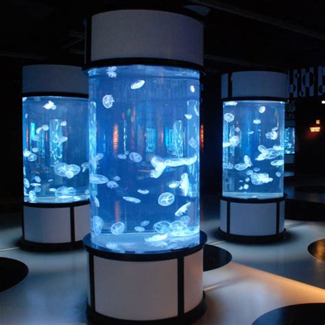 Jellyfish Aquariums Anything Plastic