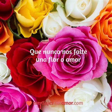 Top Imagenes De Flores Con Frases De Reflexion Anmb Mx