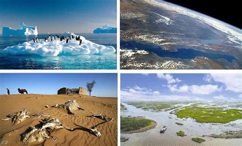 Дэлхийн дулаарал Арктикт, улс орнуудын эрмэлзэл | trends.mn