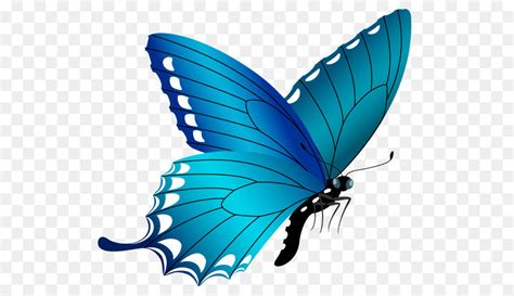 Butterfly Clip Art Blue Butterfly Png Image Png Download