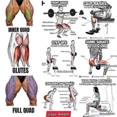Full Leg Workout 💪🏼 Crush Those Legs 🙂🔥🔥 Follow Healthtips