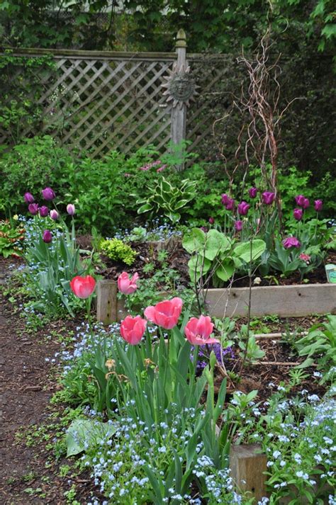 How To Incorporate Bulbs Into Your Landscape Northern Nester