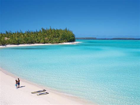 From the beachcomber cafe to the upscale les mutinés, guests can enjoy organically grown. Luxury Resort The Brando x French Polynesia | MR.GOODLIFE