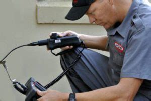 We're dothan's most experienced family owned pest control service. Pest Control Hollywell | Pest Ex