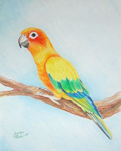 Pin De Skr En Dibujos Lápiz De Color Dibujos De Pájaro Boceto De