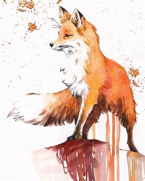 Fox Watercolor I Need Fox References Help Art Final Exam To Draw