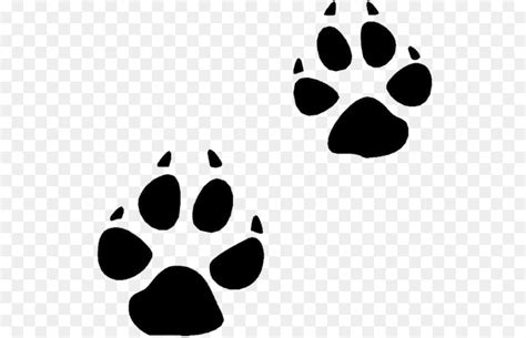 Bear Animal Track Squirrel Footprint Clip Art Bobcat Track Cliparts