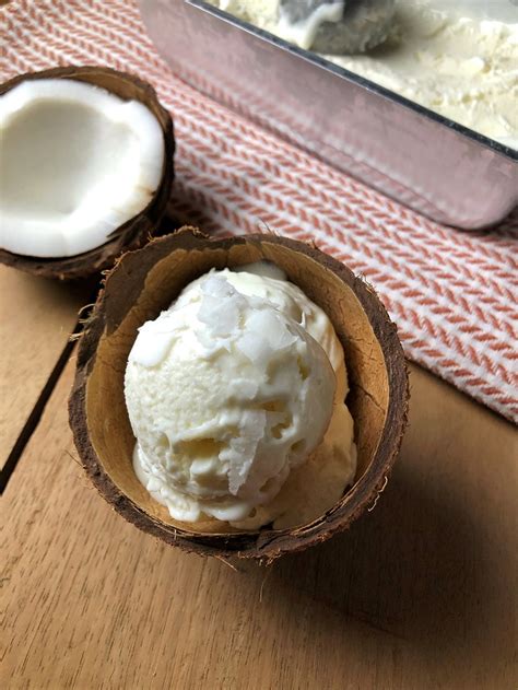 Coconut Ice Cream Tempting Treat