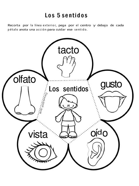 Pin De Vicky Ibáñez En Primaria Los Cinco Sentidos En Preescolar Los