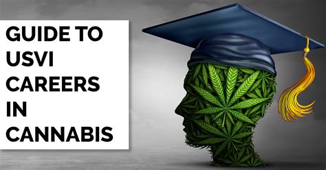 Guide to USVI Jobs in Cannabis - VIBE HIGH