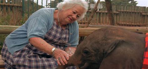 A Tribute To Dame Daphne Conservationist And Elephant Activist Explore