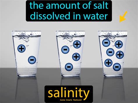 Salinity Definition The Amount Of Salt Dissolved In Water Water