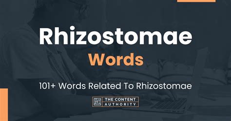 Rhizostomae Words 101 Words Related To Rhizostomae