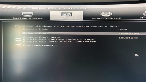 Windows Bios Settings Enable Tpm Secure Boot Uefi The Best Porn Website