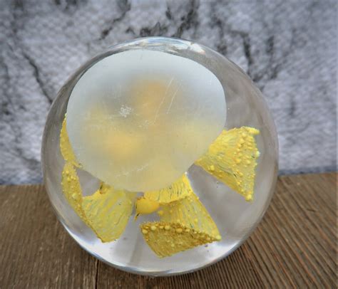 Glass Paperweight Yellow Flower Controlled Bubble Clear Glass Etsy