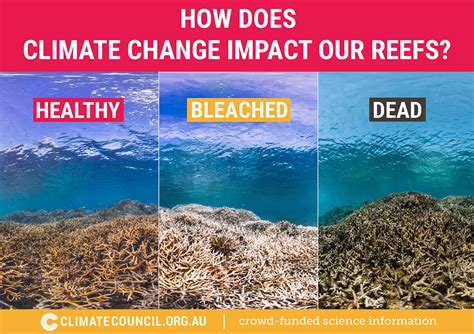 2018: the 8 biggest moments in climate change | Climate Council