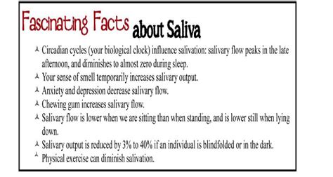 The Dentist Advises Saliva Is The Bodys Most Important Protection