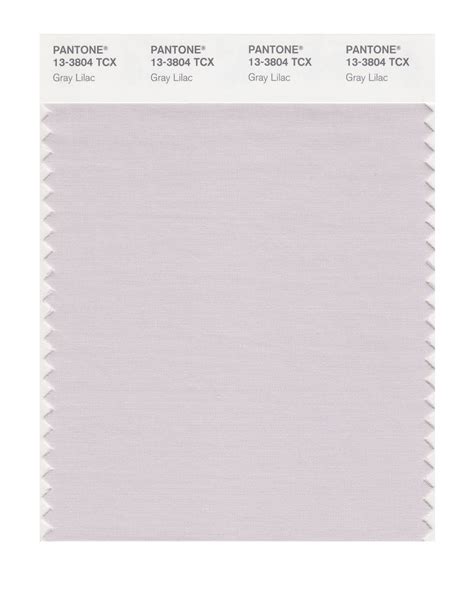 Pantone Smart Color Swatch Card 13 3804 Tcx Gray Lilac Columbia Omni