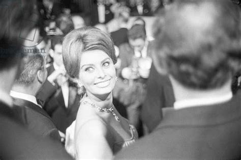 Sophia Loren At The 14th Cannes Film Festival 1961 Bw Photo By