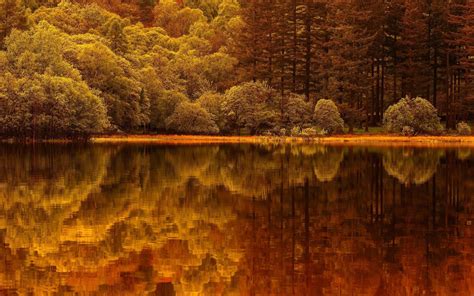Forest Tree Landscape Nature Autumn Lake Reflection Wallpaper