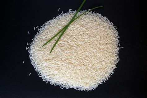 Pusa 1121 Raw Basmati Rice Midas Overseas