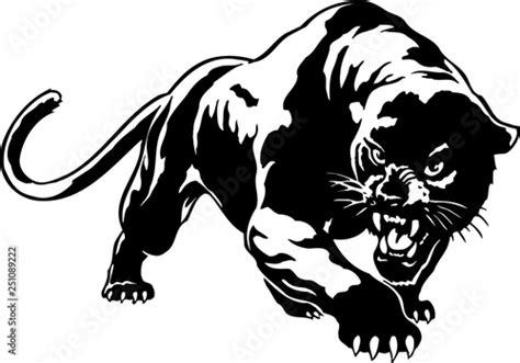 Panther Vector Illustration Stock Image And Royalty Free Vector Files
